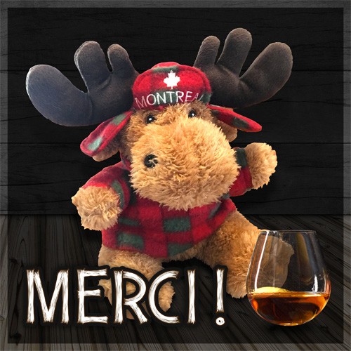 Merci pour le vif intérêt que vous portez au Calvérable !